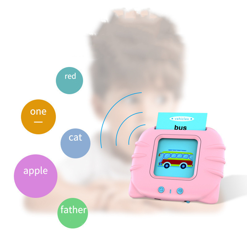 Talking flash card reader