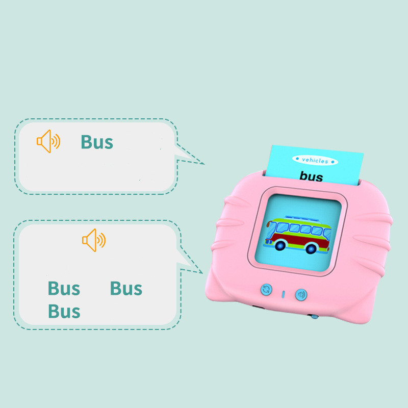 Talking flash card reader