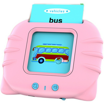 Talking flash card reader