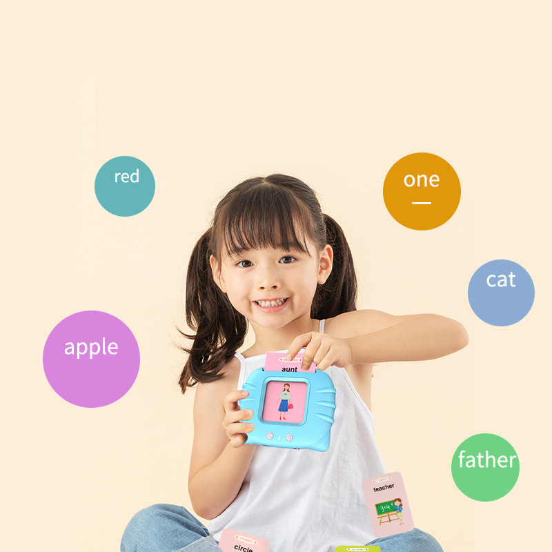 Talking flash card reader