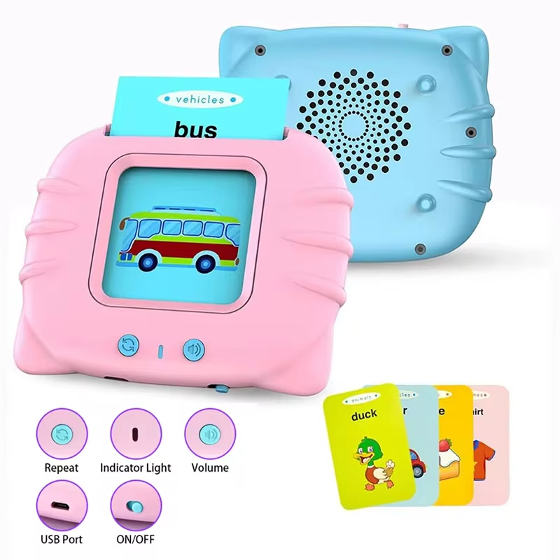 Talking flash card reader